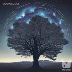 Digital Muse