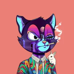 BVDCAT